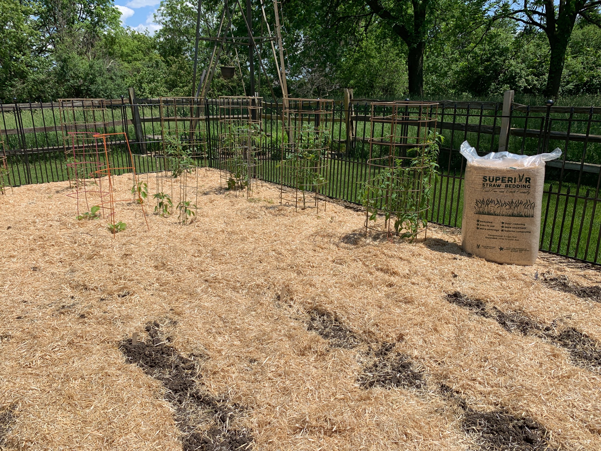 Superior Straw Galusha Farm