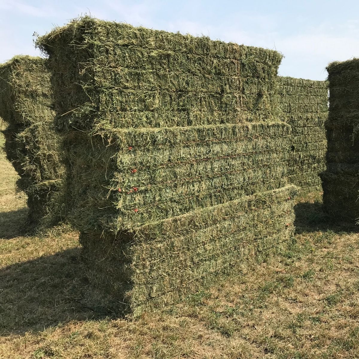 Baled Straw Bales for Sale