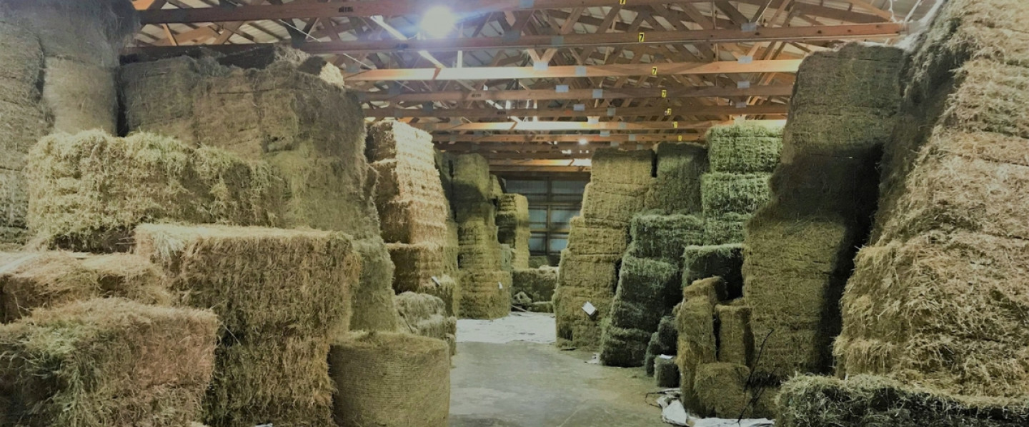 Superior Hay & Straw
