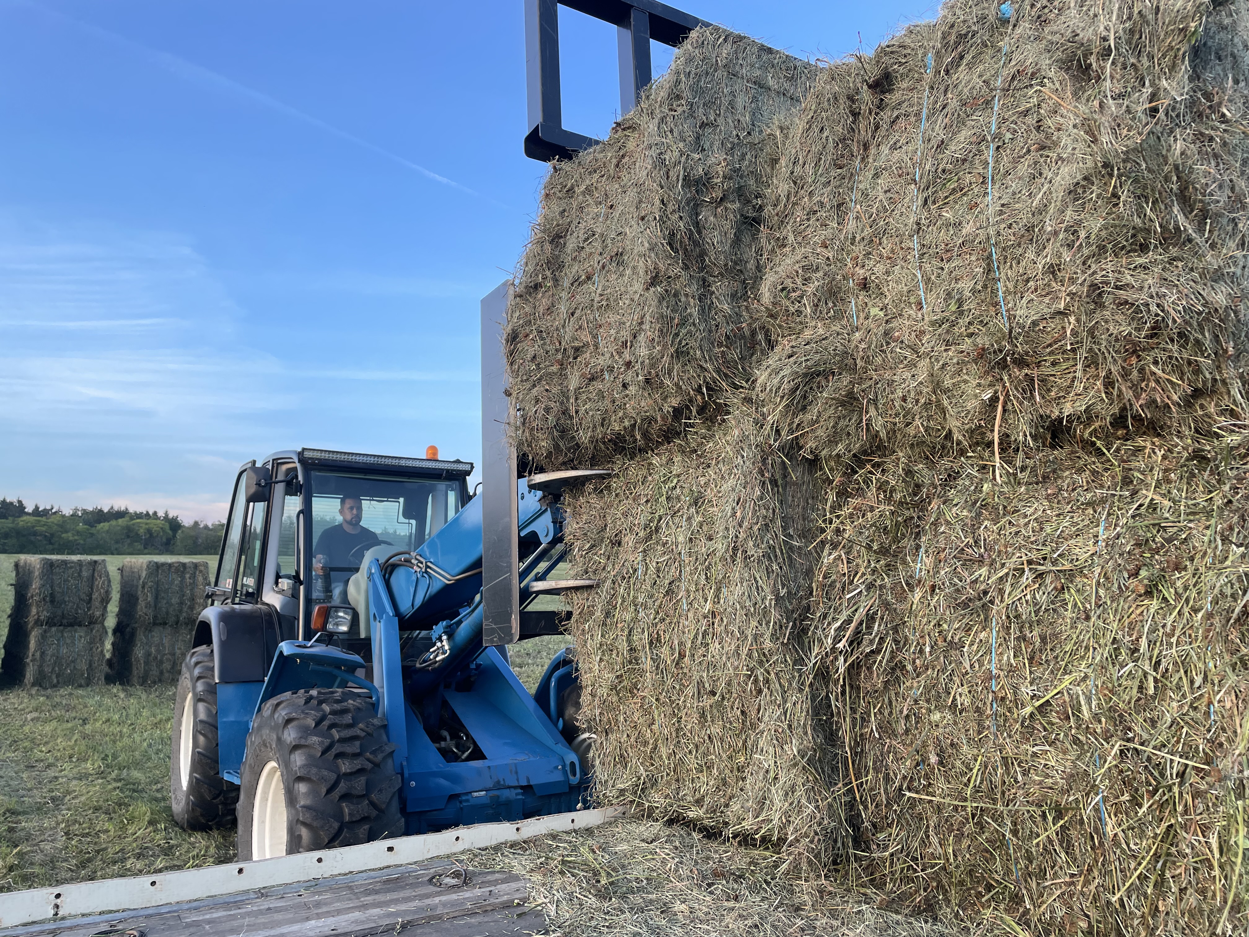 Superior Hay & Straw